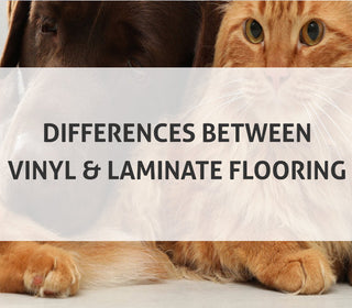 6 Differences Between Vinyl and Laminate Flooring