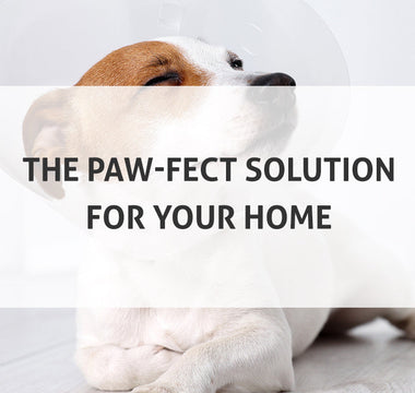 The Paw-fect Solution: Heated Driveways for Your Pet's Well-Being