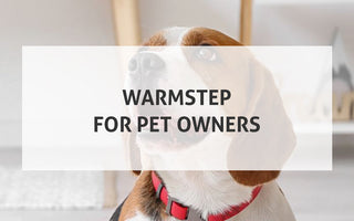 WarmStep for Pet Owners: Keeping Your Furry Friends Cozy Year-Round