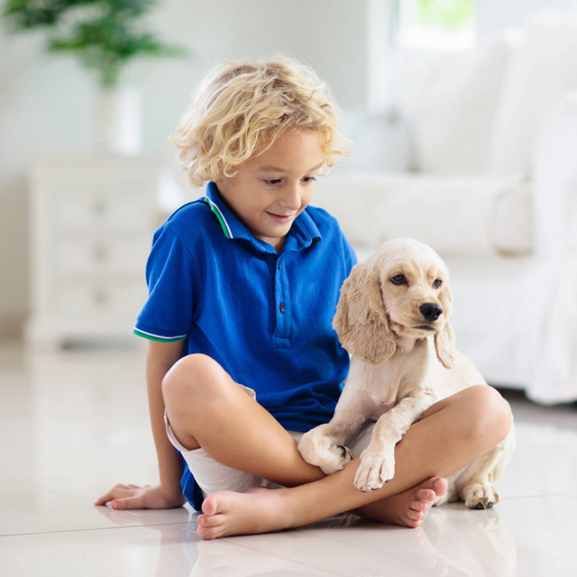 Enjoy the Safest, Cleanest, Most Economical Way of Heating Your Home or Office