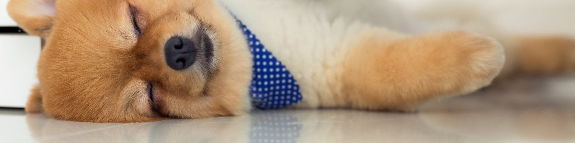 Floor Heating for Tile and Stone